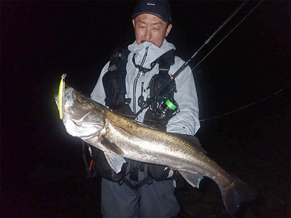 Spinning lansete pentru marin pescuit DAIWA LATEO
