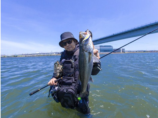 Spinning lansete pentru marin pescuit DAIWA LATEO