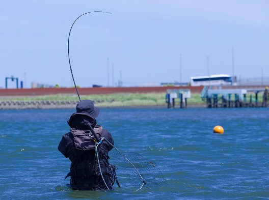 Spinning lansete pentru marin pescuit DAIWA LATEO