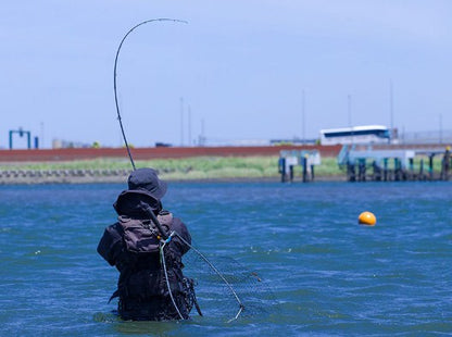 Spinning lansete pentru marin pescuit DAIWA LATEO
