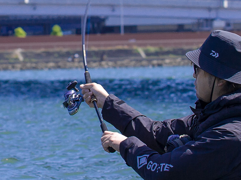Spinning lansete pentru marin pescuit DAIWA LATEO