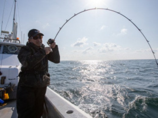 Light Jigging морска въдица за мултипликатор DAIWA Saltiga LJ