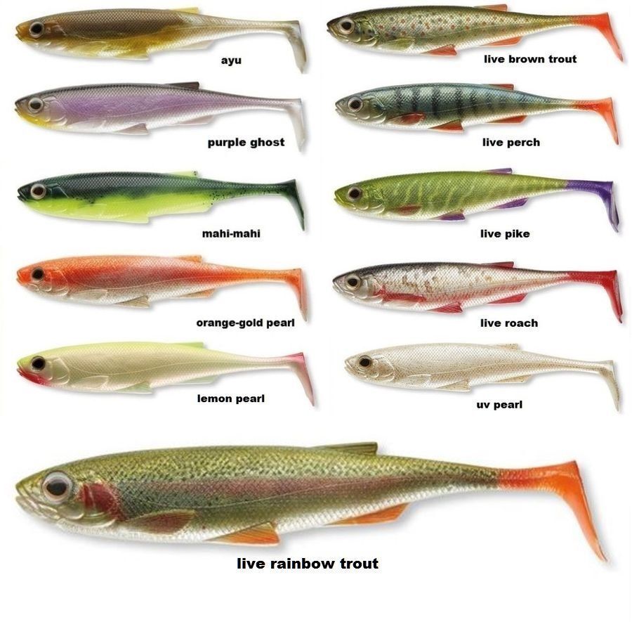Soft lures DAIWA DUCKFIN LIVESHAD - 15 cm / 2 pcs per pack
