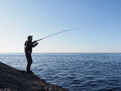 Spinning rods for shore jigging fishing DAIWA Dragger SX