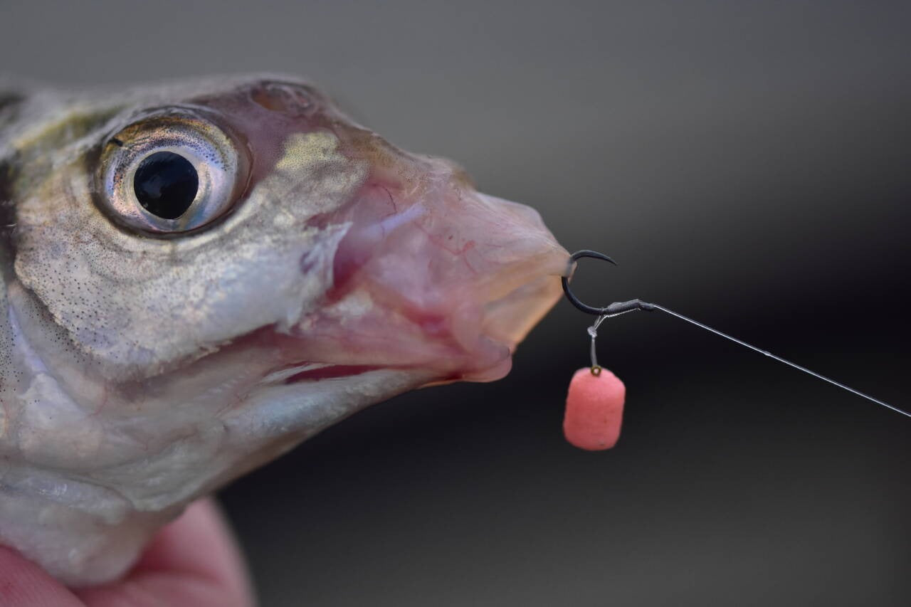 Ισορροπημένα dumbells (wafters) Dynamite Baits Wowsers - 3mm