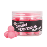 SQUID & OCTOPUS