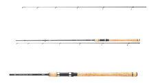 Spinning καλάμια DAIWA 25 EXCELER TRADITIONAL SPIN