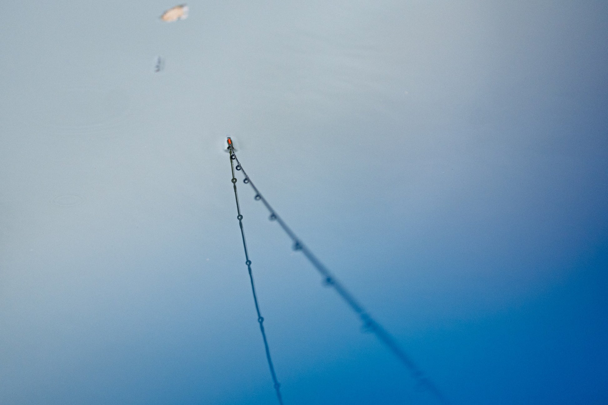 Daiwa Nzon 2.0 feeder2