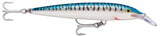 SILVER MACKEREL