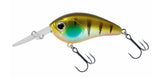 ghost gill