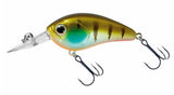 ghost gill