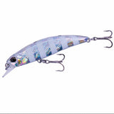 GJA0101 Zebra Glow