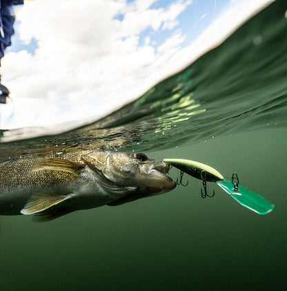 Vobler RAPALA GOLD MINER 30