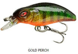 Gold Perch