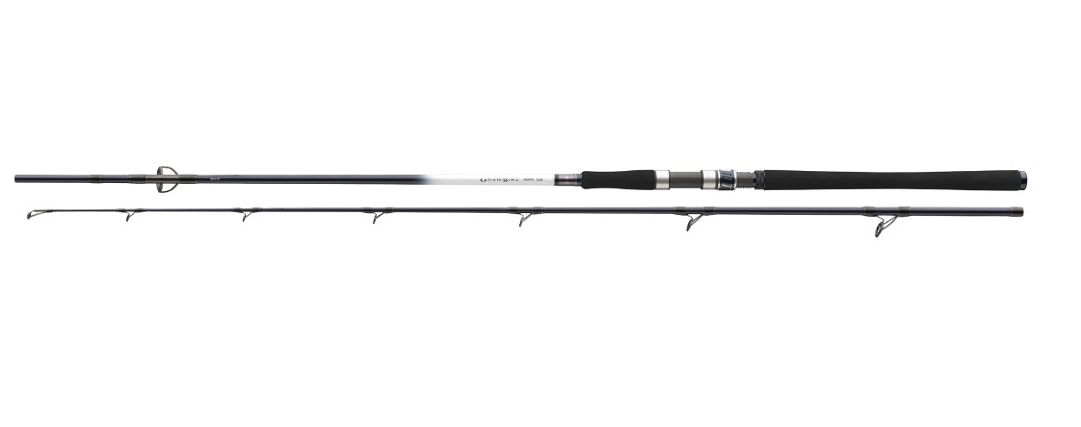 Spinning rod for sea fishing DAIWA GRANDWAVE POLLOCK - 2.40m/40-100gr