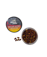 OISTER-MULBERRY BROWN-YELLOW