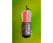 Фидер хранилка KORUM FLOATING WINDOW COMBI FEEDER FLUORO TOP - 4gr