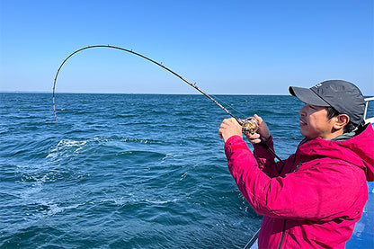 Спининг въдицa за Light Jigging морски риболов DAIWA LEADING LIGHT GAME 73 MH-190 - 1.90m/60-150gr
