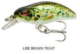 Live Brown Trout