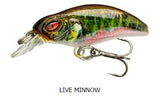 Live Elritze