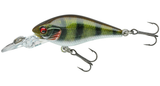 Live Perch