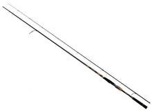 Спининг въдици за морски риболов DAIWA Morethan Branzino EX AGS