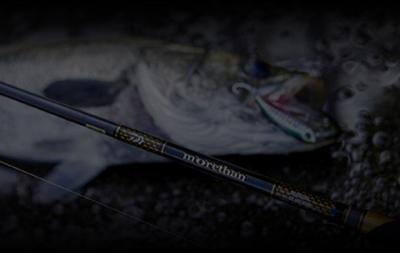 Спининг въдици за морски риболов DAIWA Morethan Branzino EX AGS