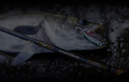Спининг въдици за морски риболов DAIWA Morethan Branzino EX AGS