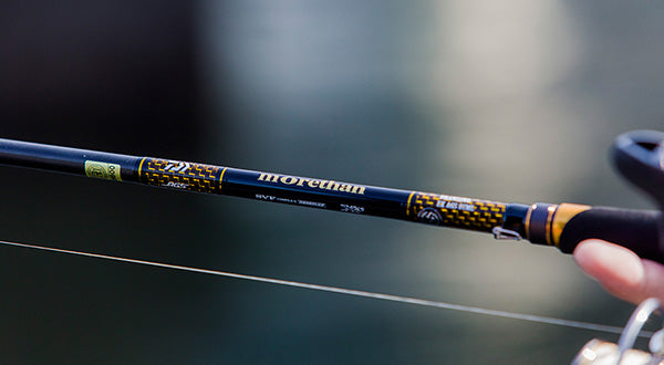 Спининг въдици за морски риболов DAIWA Morethan Branzino EX AGS