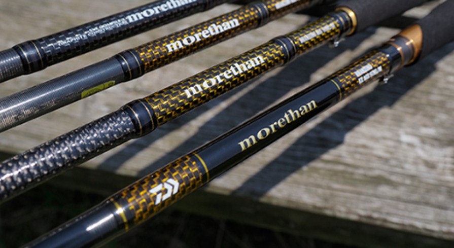 Спининг въдици за морски риболов DAIWA Morethan Branzino EX AGS