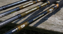 Спининг въдици за морски риболов DAIWA Morethan Branzino EX AGS