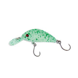 SPOTTED LIME