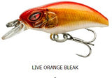 Orange Bleak