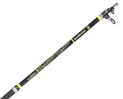 Καλάμια surfcasting Lineaeffe PERSONAL CASTER WTG - 4.20m 200/250gr