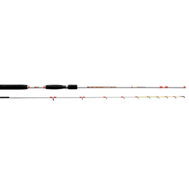 Trolling lansetă Lineaeffe DEEP WALKER 300 - 2.40m/300gr
