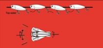 Popper Nomura SMALL POPPER - 5.5cm/7gr - floating