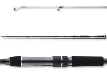 Καλάμι spinning Daiwa 20 MORETHAN SHAD ATTACK - 2.70m / 8-35gr