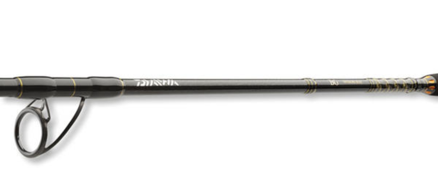 Въдица за морски риболов Daiwa BG OFFSHORE 20 - 2.40m/50-165gr
