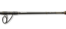Въдица за морски риболов Daiwa BG OFFSHORE 20 - 2.40m/50-165gr
