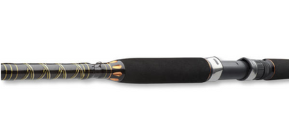 Въдица за морски риболов Daiwa BG OFFSHORE 20 - 2.40m/50-165gr