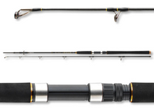Въдица за морски риболов Daiwa BG OFFSHORE 20 - 2.40m/50-165gr