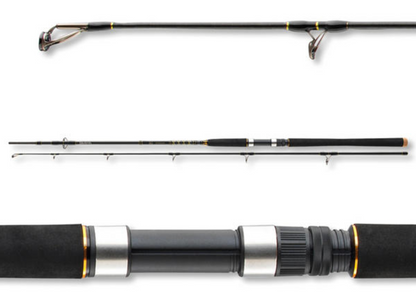 Въдица за морски риболов Daiwa BG OFFSHORE 20 - 2.40m/50-165gr
