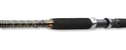 Удилище для морской рыбалки Daiwa BG OFFSHORE 20