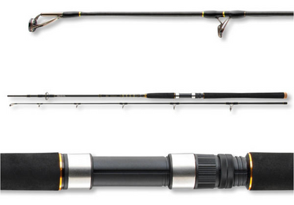 Удилище для морской рыбалки Daiwa BG OFFSHORE 20