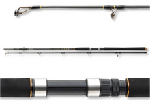 Въдица за морски риболов Daiwa BG OFFSHORE 20