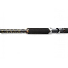 Въдица за морски риболов - DAIWA BG OFFSHORE BOAT 20 - 2.40м/150-400гр