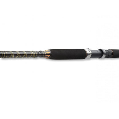 Въдица за морски риболов - DAIWA BG OFFSHORE BOAT 20 - 2.40м/150-400гр
