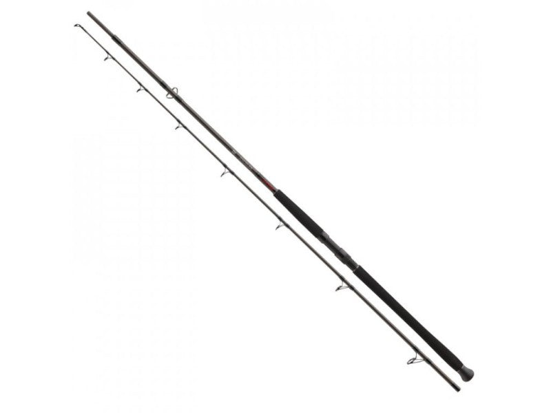 Удилище для рыбалка для сом DAIWA EXCELER CATFISH BOJE - 3.30m/200-600gr