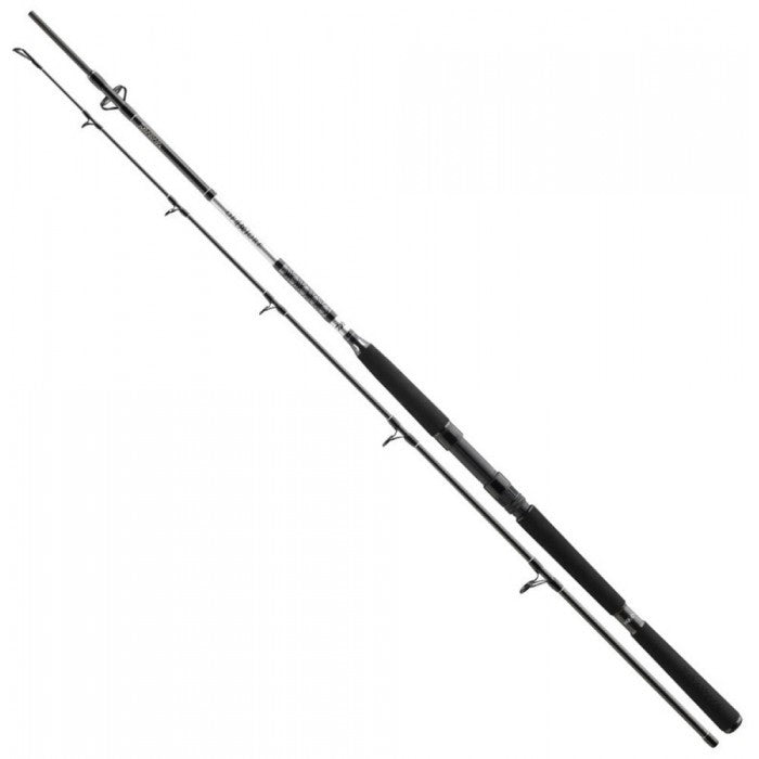 Sea fishing rod DAIWA 23 BG OFFSHORE PILK - 3.00m/50-165gr