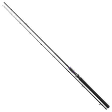 Baitcasting спиннинг Daiwa PROREX XR - 2.55m / 21-42gr
